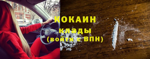 стафф Арсеньев