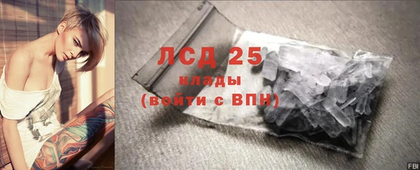 стафф Арсеньев