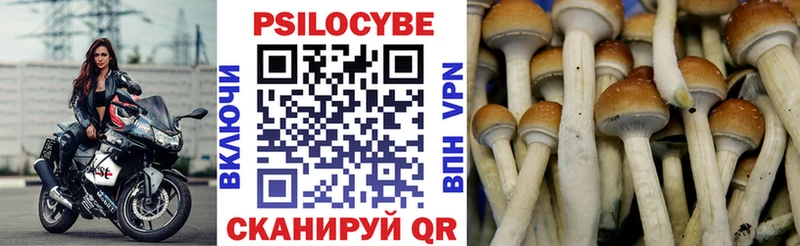 Псилоцибиновые грибы Psilocybe  Липки 